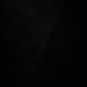 Meet your Posher, Ray